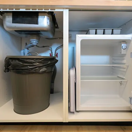 Ws Notre-dame - Linne Daire