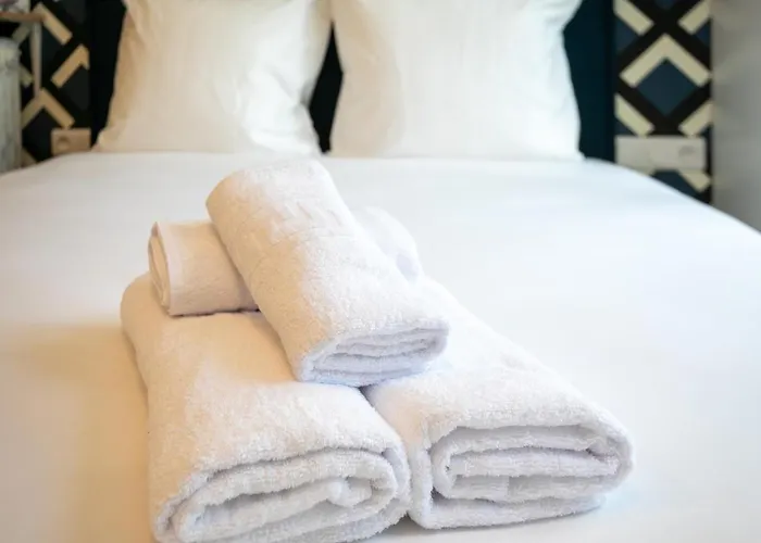 Ws Notre-dame - Linne *