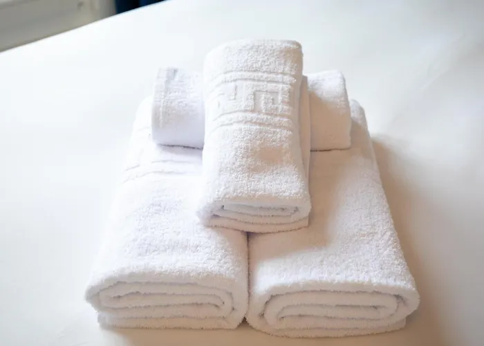 Ws Notre-dame - Linne *